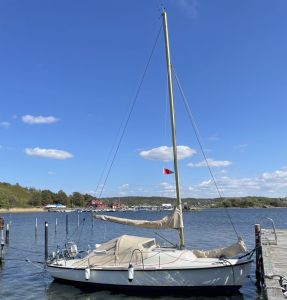 bild 12 FAJAK Centerbord 